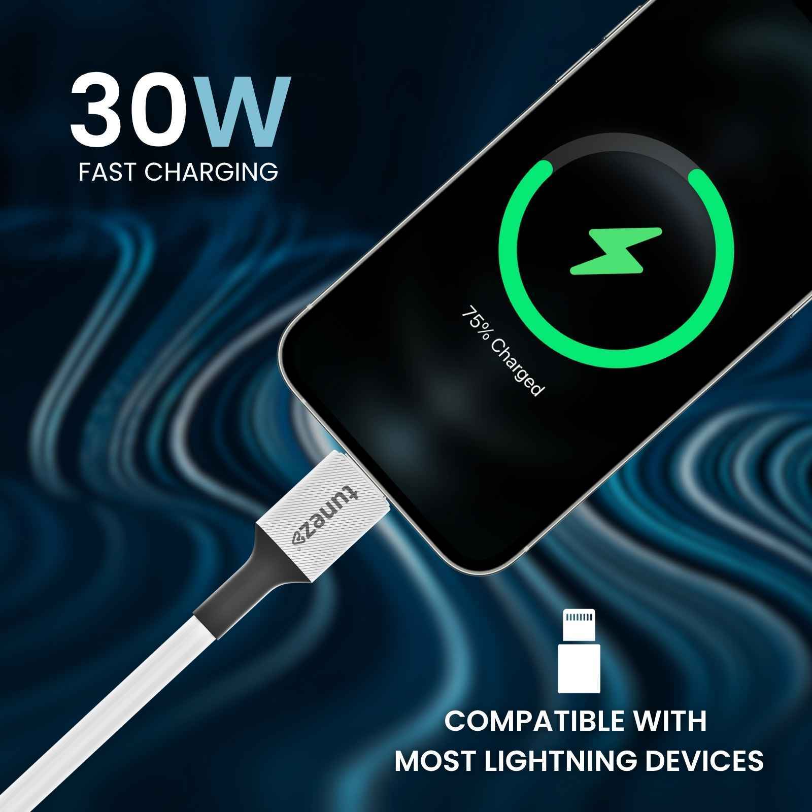 Tunez Nexus DC5923 30W PD Type-C to Lightning Cable - Image 2